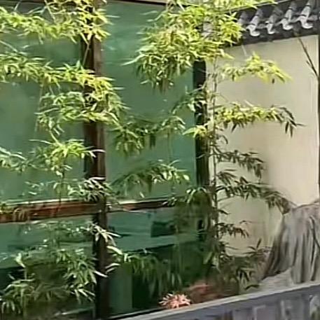 烟雾孤女