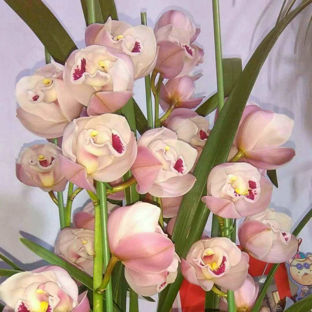 用户名42202068头像