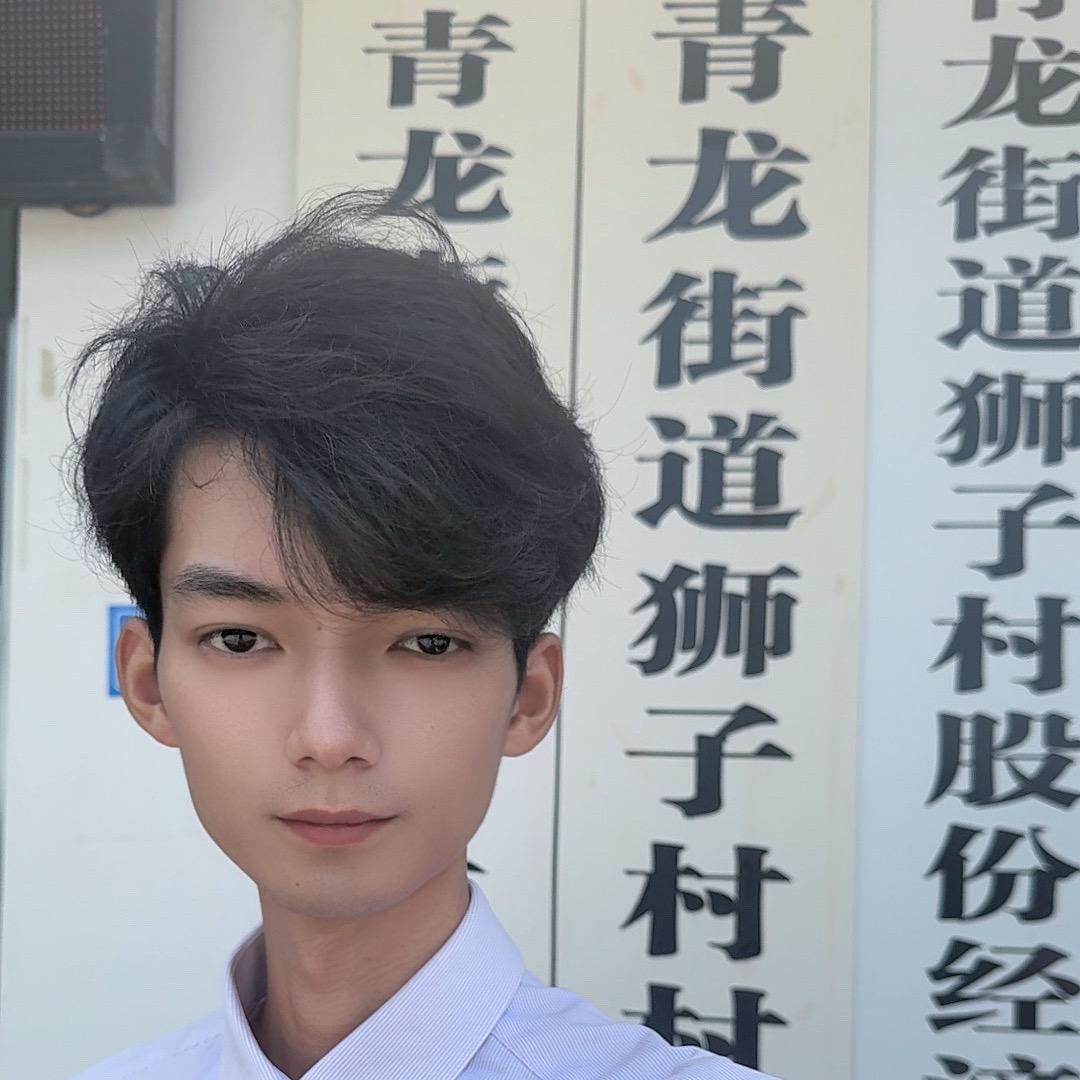 眉山96村干部