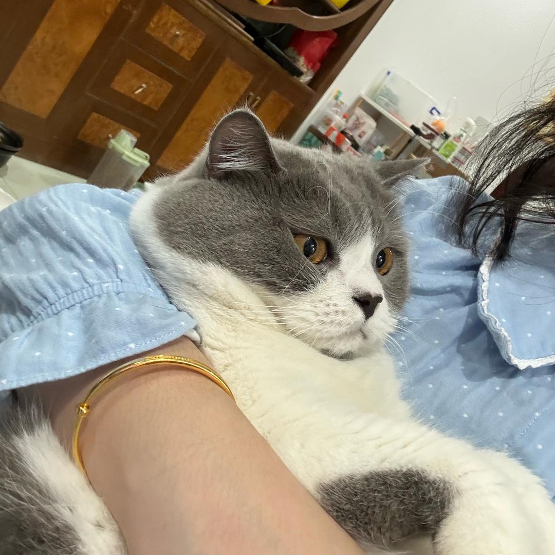 请叫我嘟总