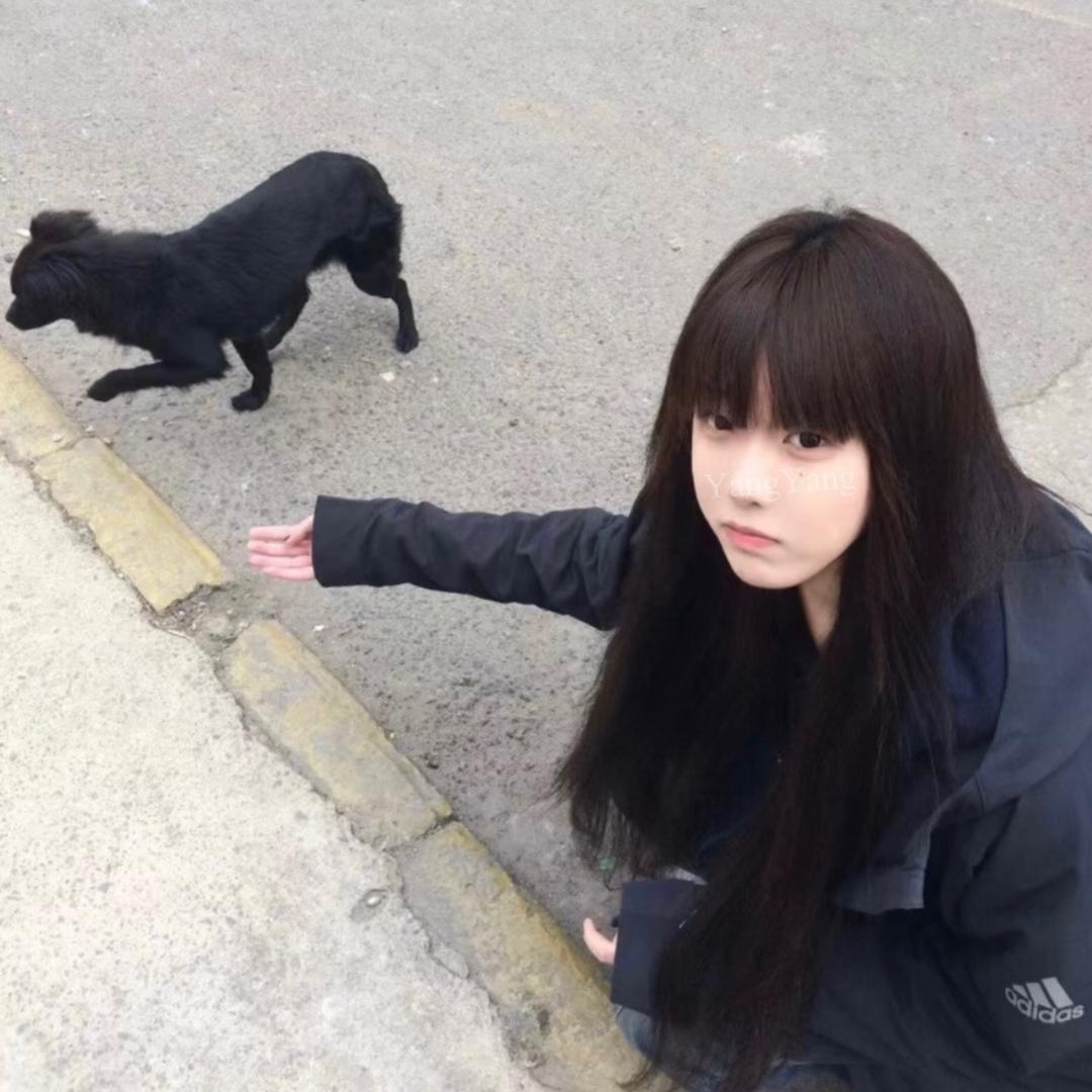 ㅤ︍ ︋ㅤ︋︋︉   ㅤ︋︉