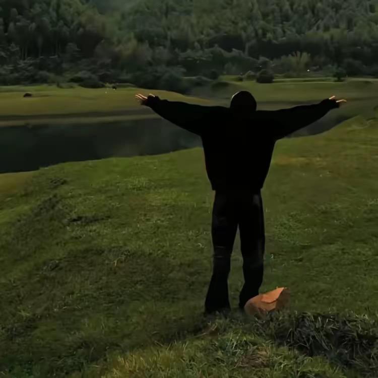 …….