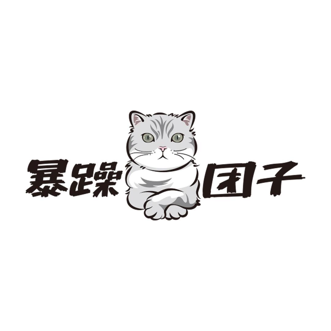 暴躁团子GrumpyTuanzi