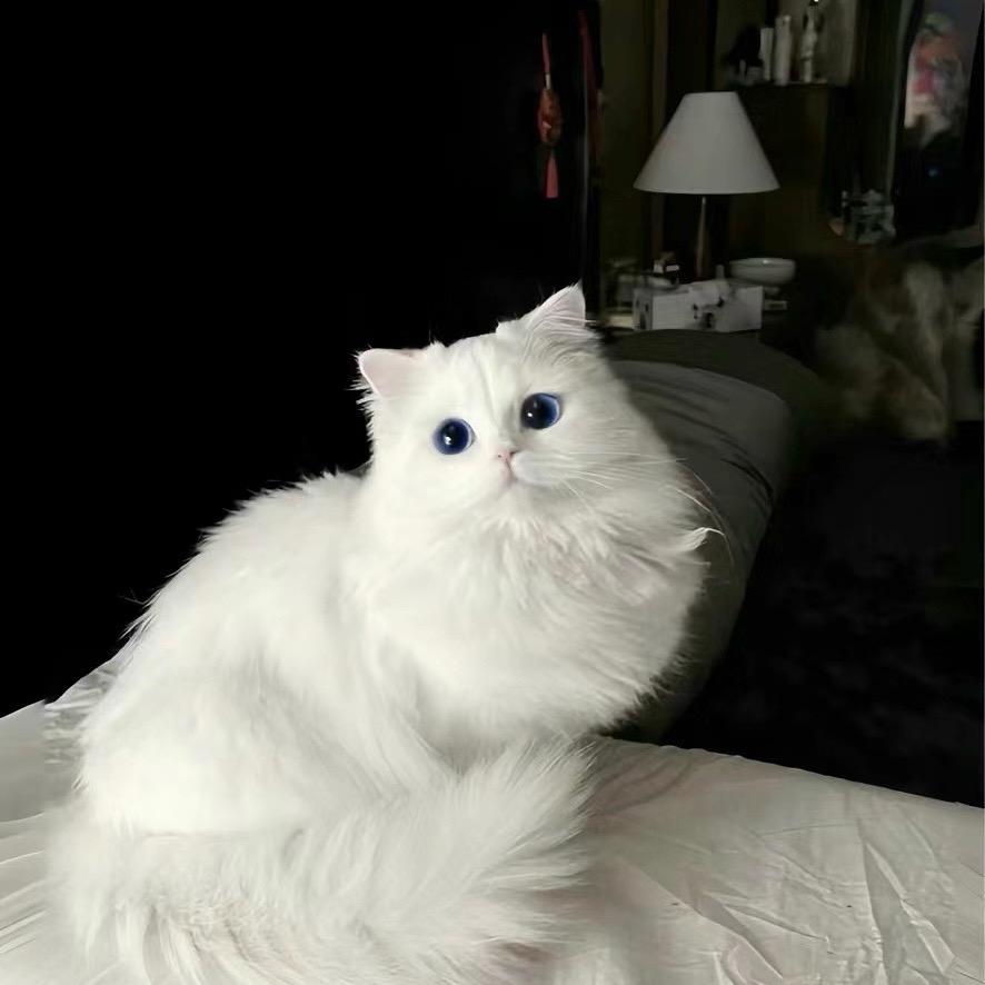 _
