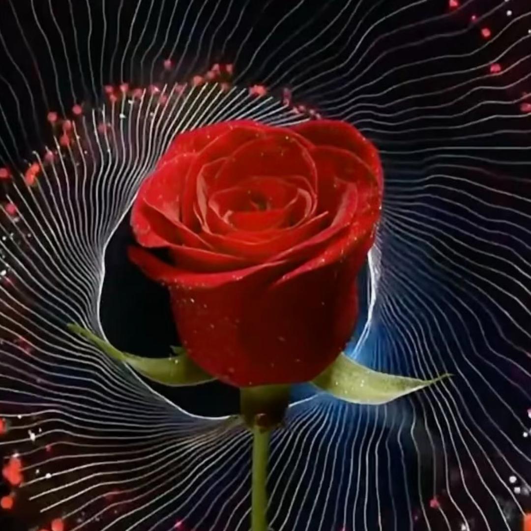 @¥删除过往¥峰