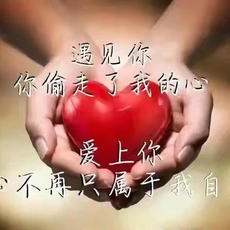 来生别在相遇