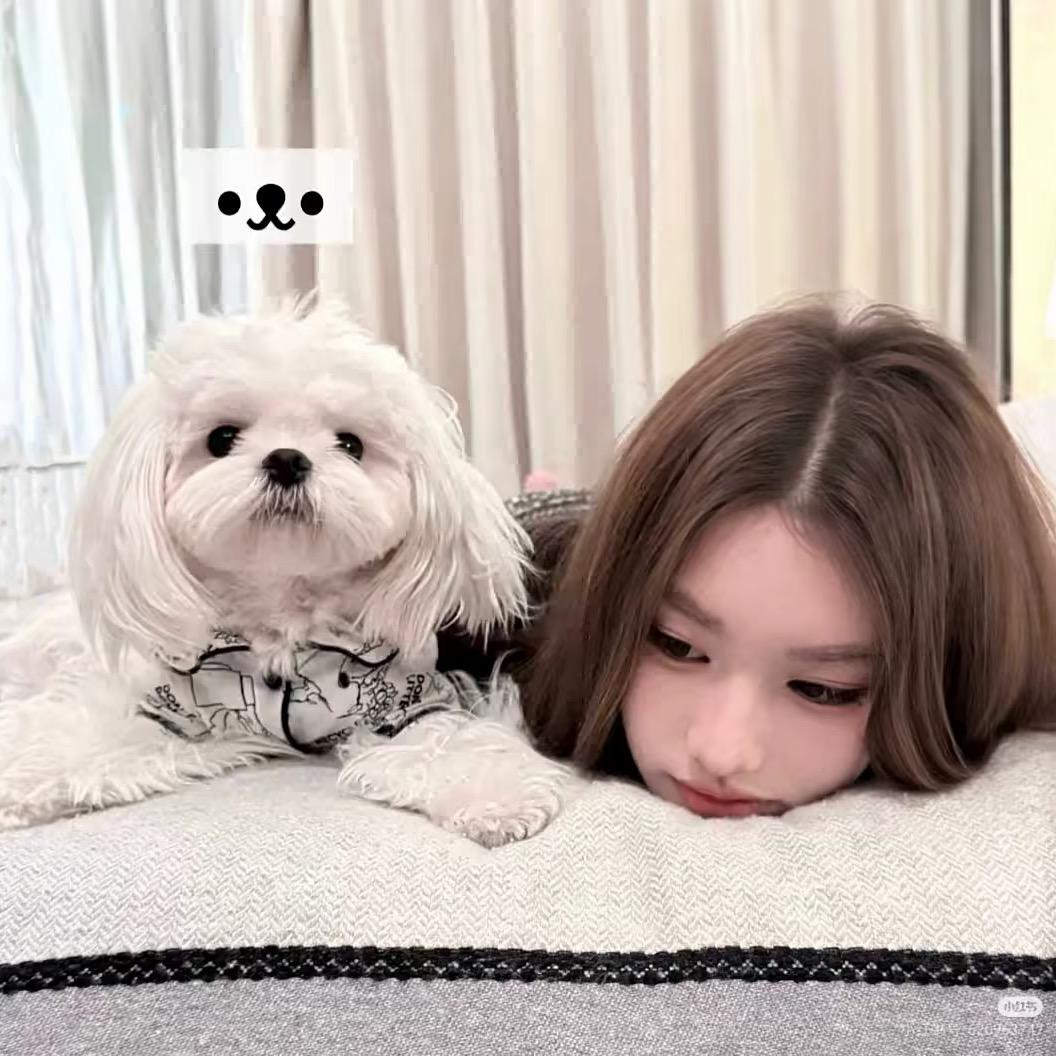 🐾