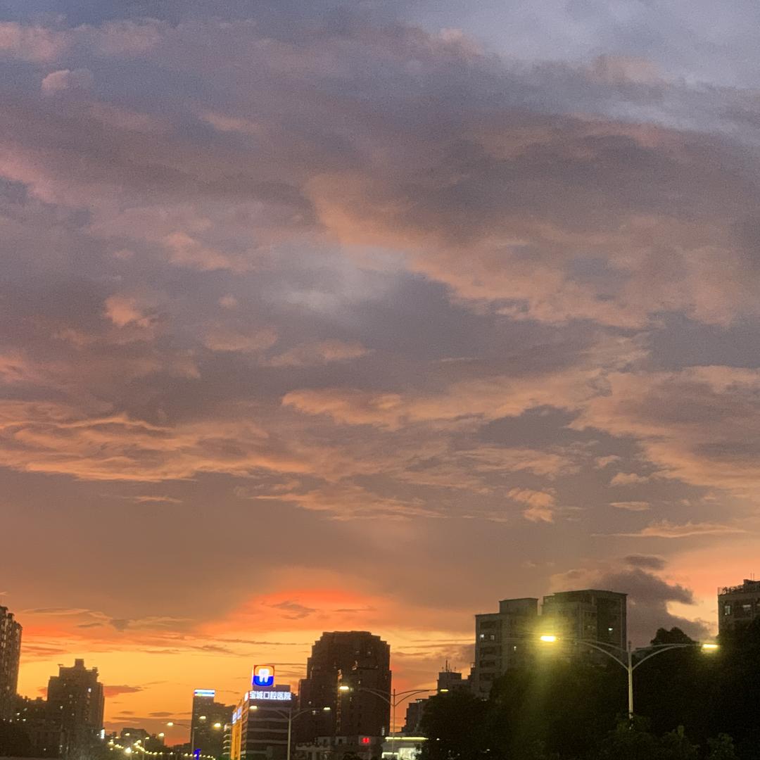 马踏窑鸡助理