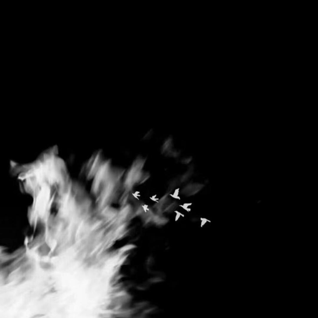 江西中职王老师