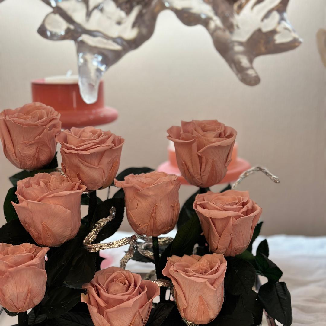 一家会变美的小店