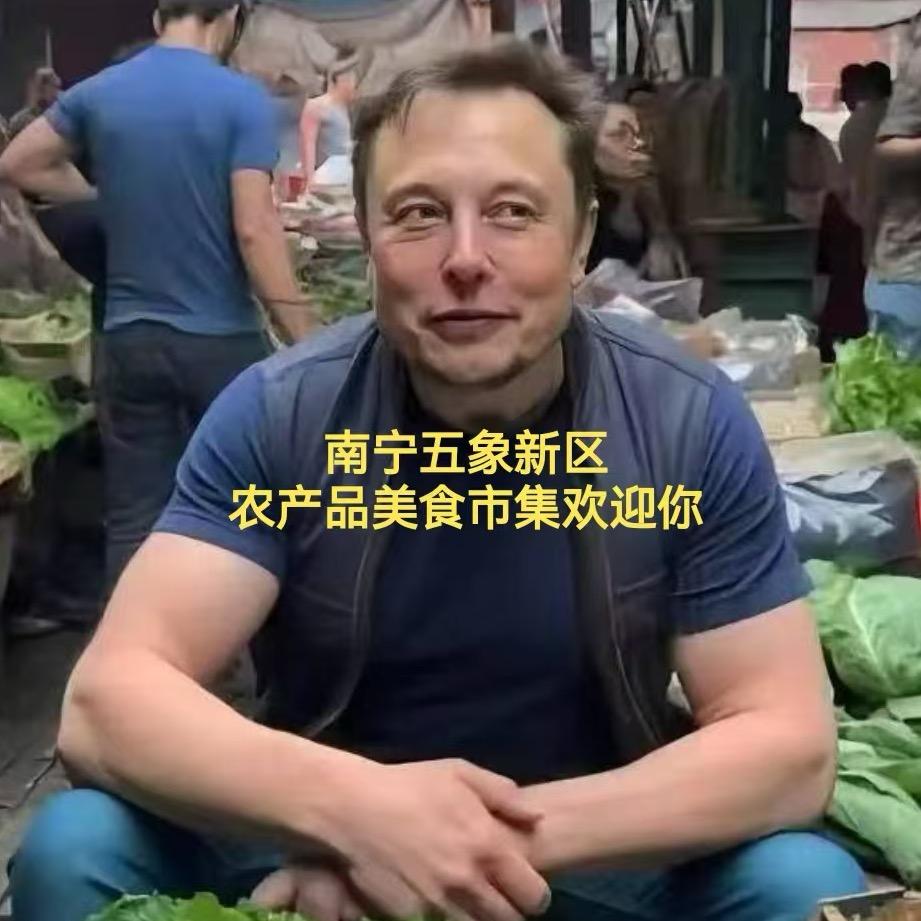 五象新区菜市美食招商小陈