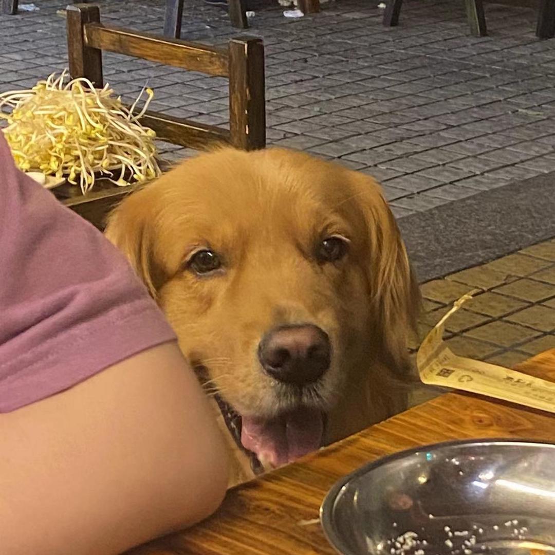 榴莲没有女朋友呀