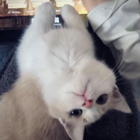 Xiiu^