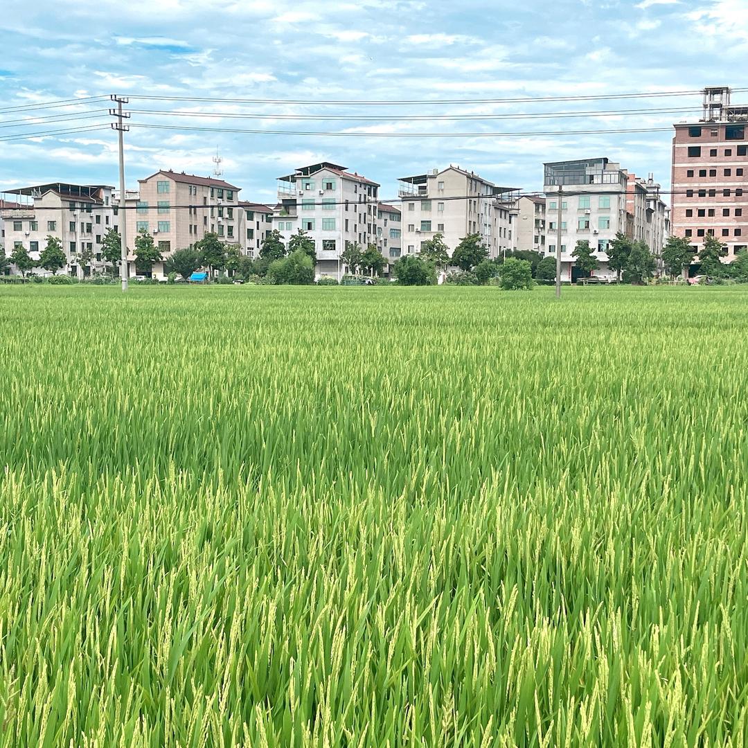 云边 零食铺