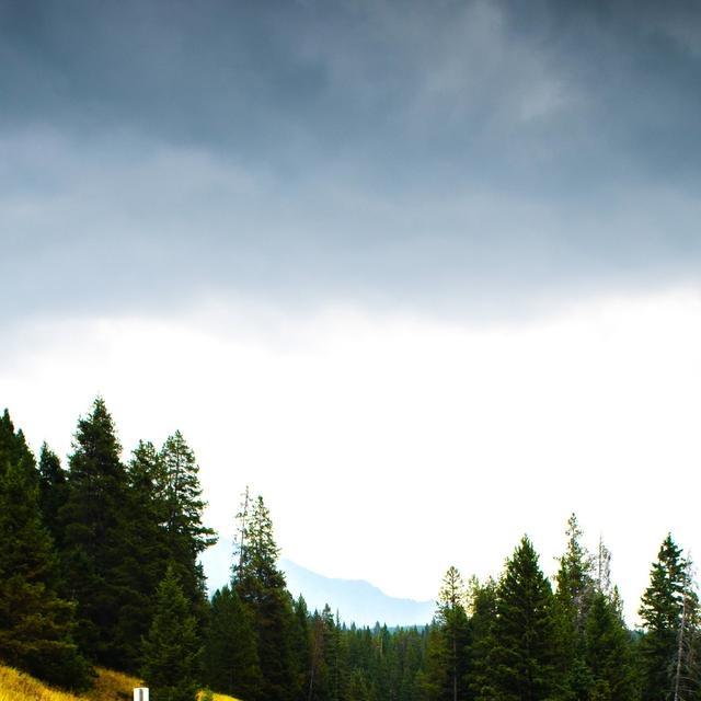 广州婧萱劳务臻选阁