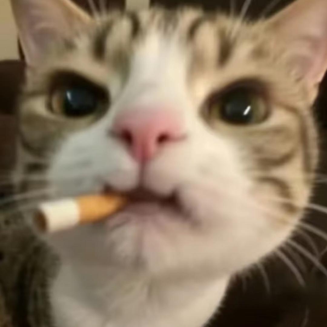 凌焓（流量回家