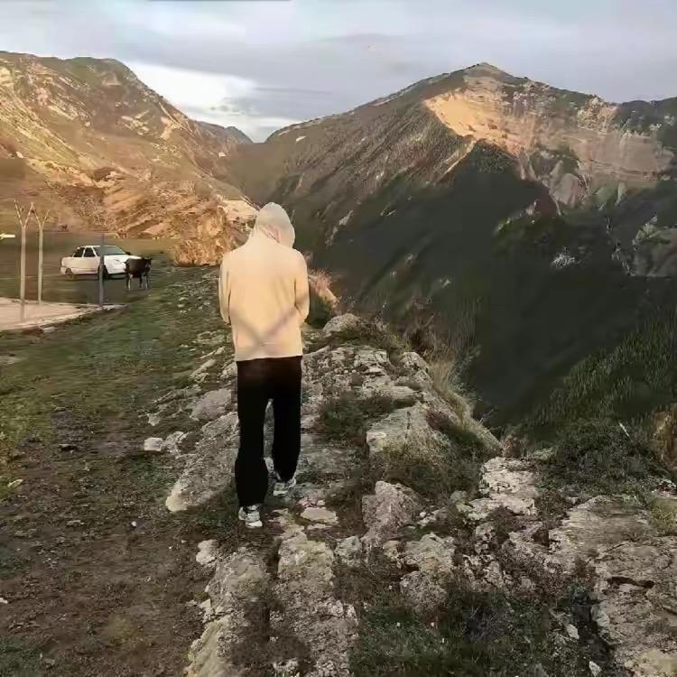 东东.