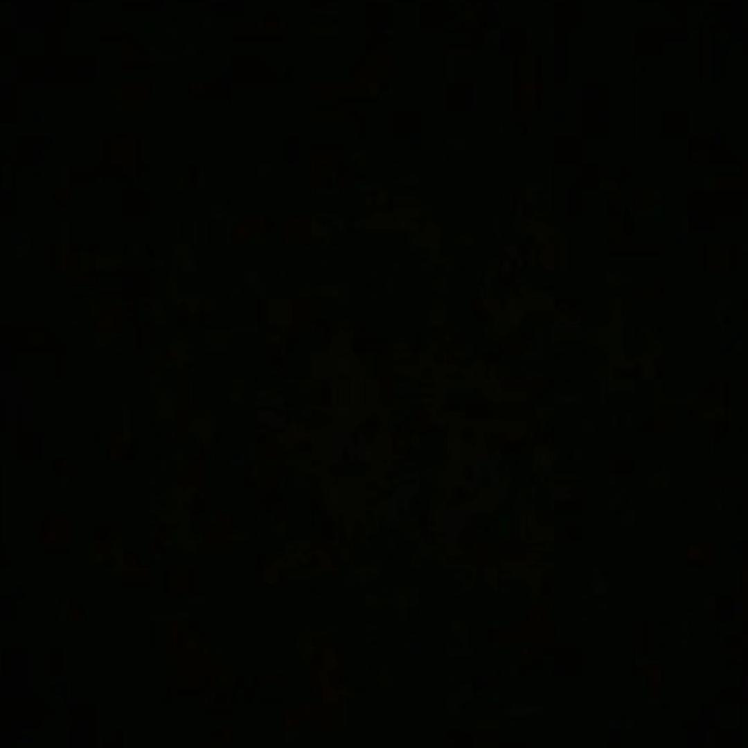 康仔日记