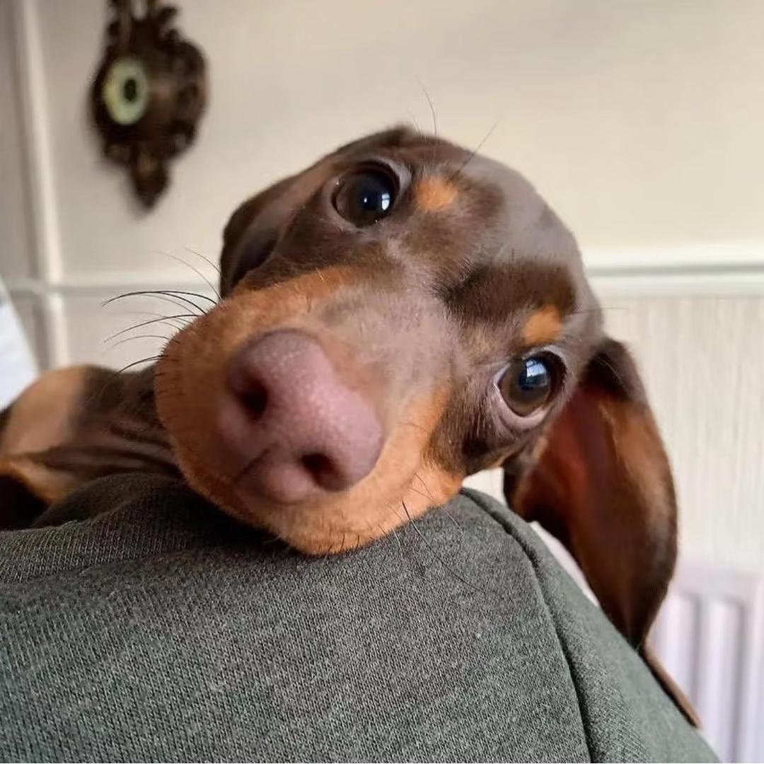 zzZ