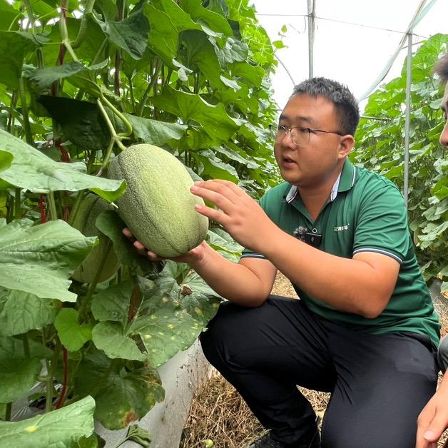浙果丰·陈林技术号