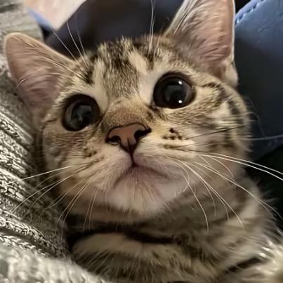 有点想you