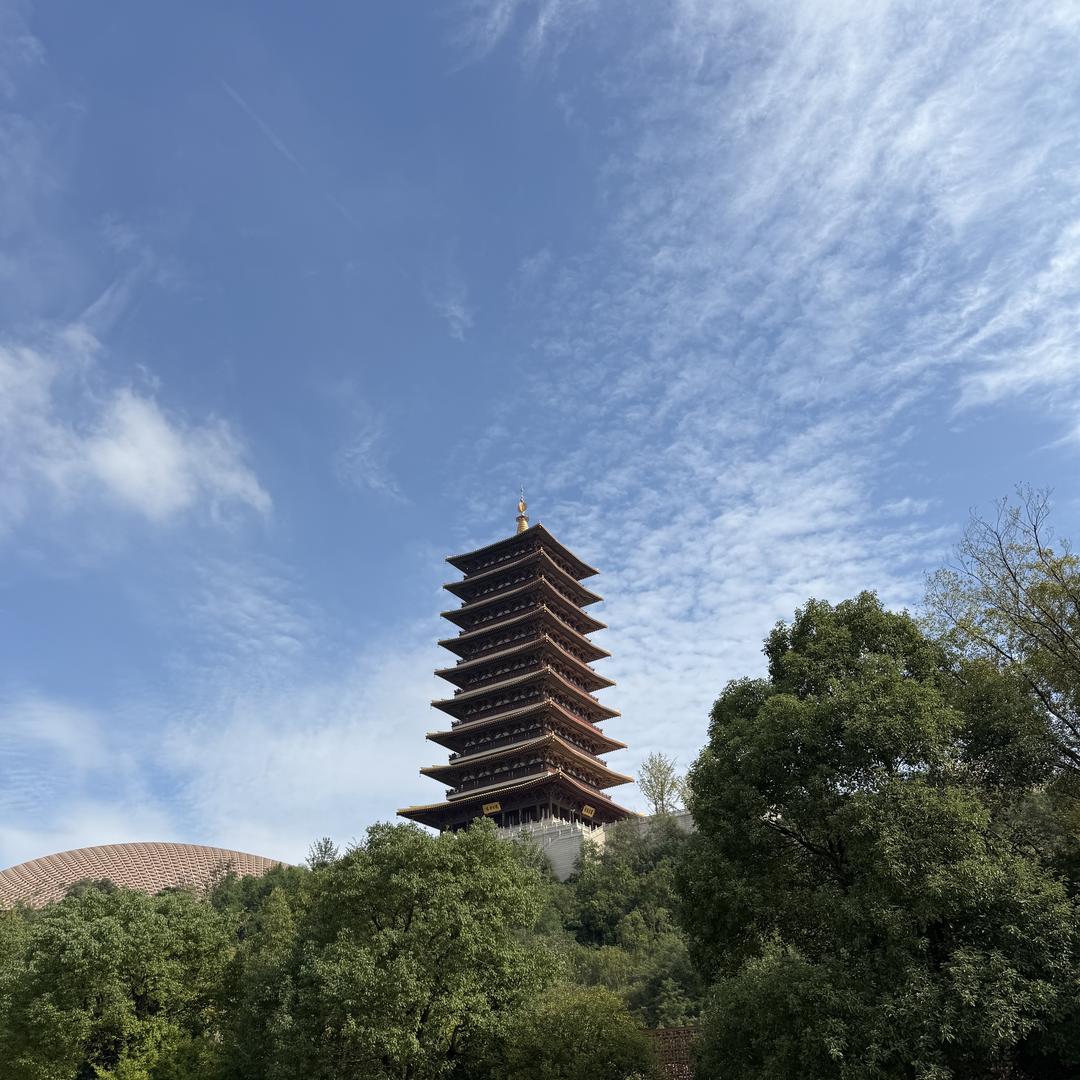 台州桃林信息咨询有限公司