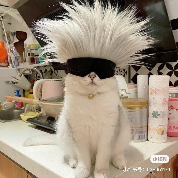 猪宝com