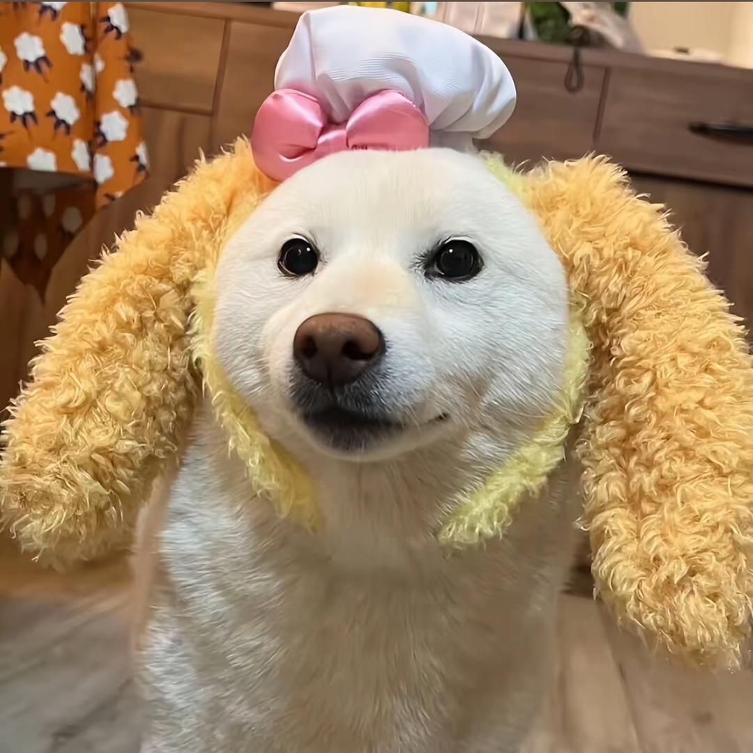 郝劭文生活小超市