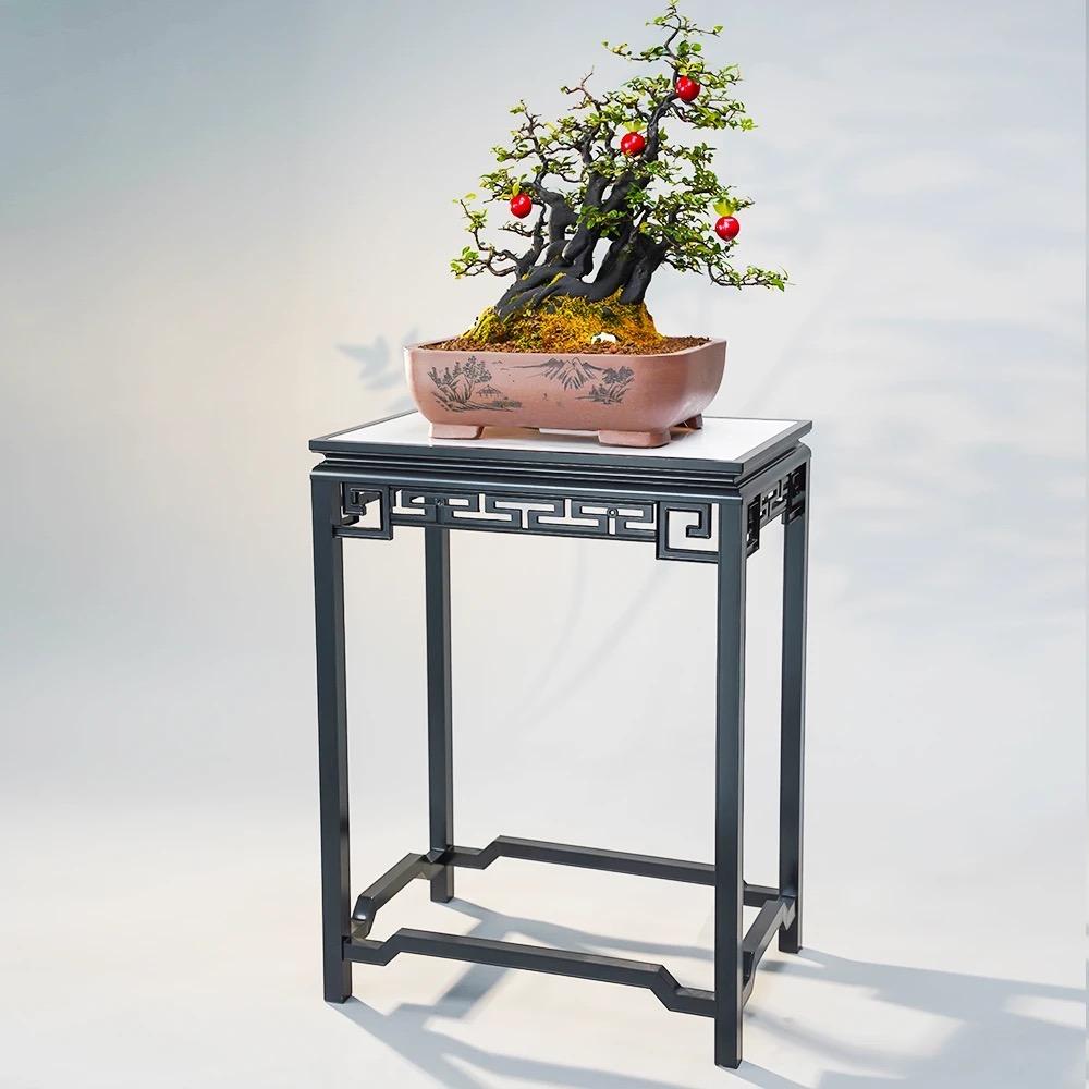 铝合金盆景机架