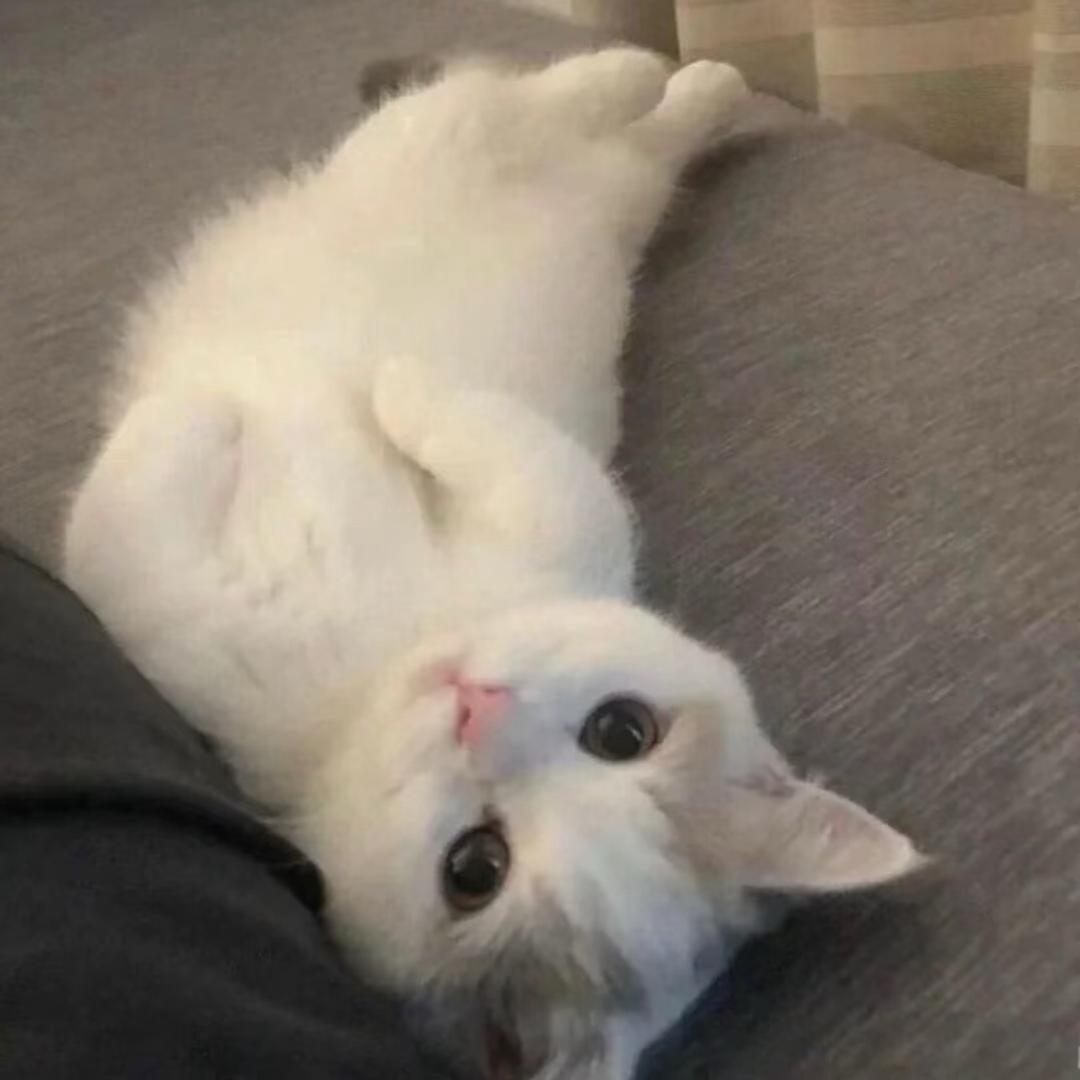 泡芙^