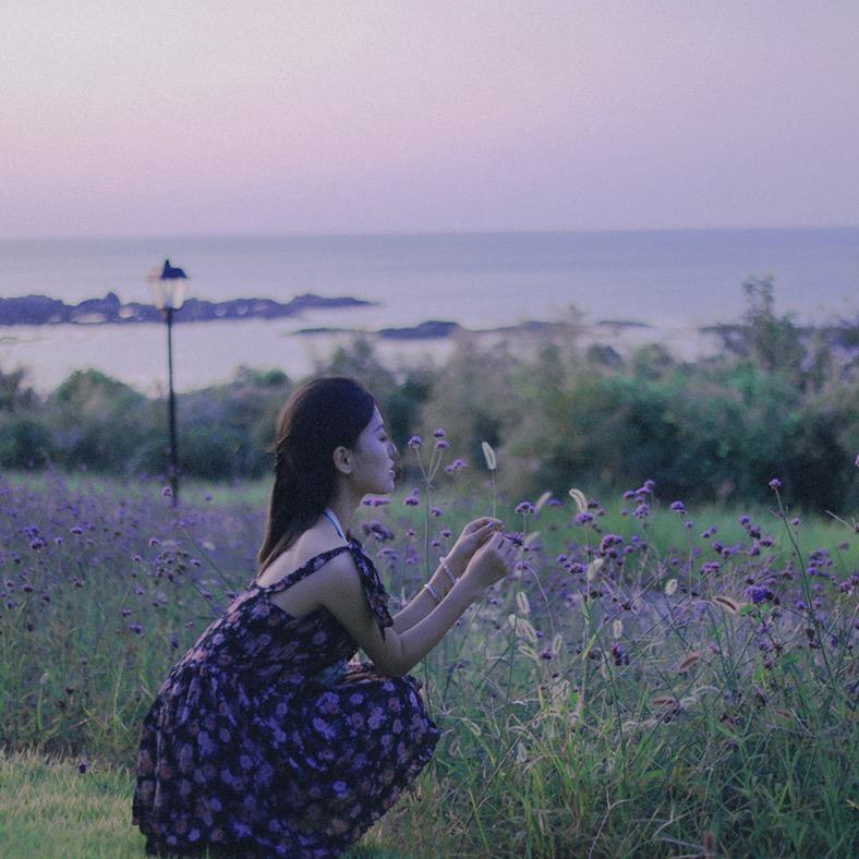 毛毛的生活日记