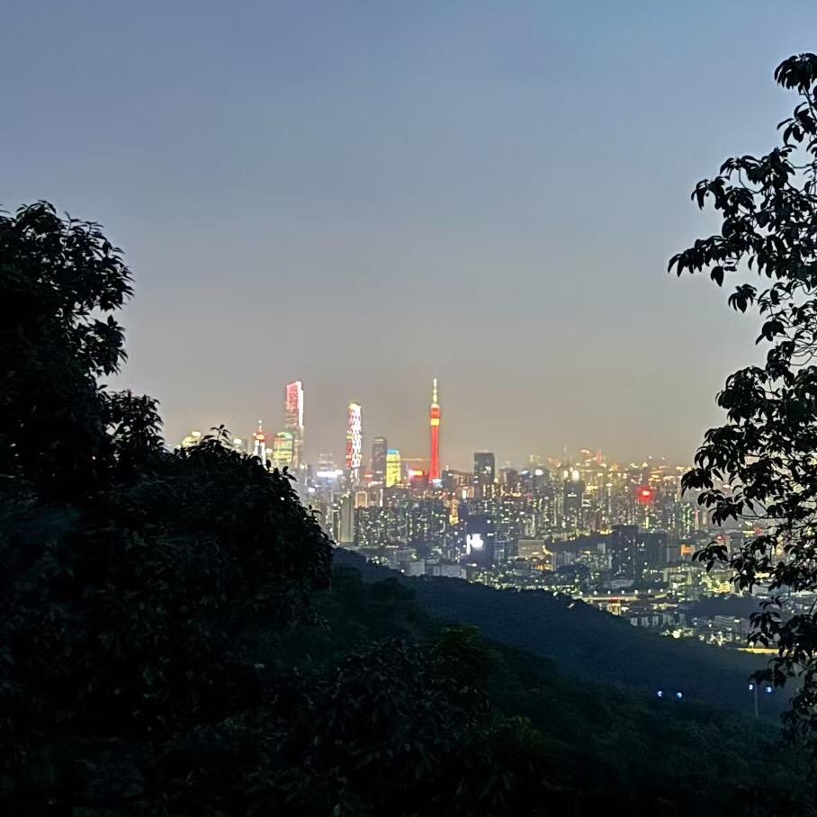 翰墨丹