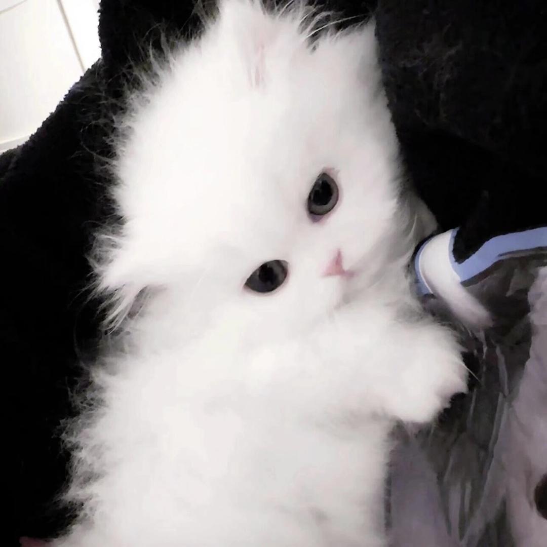 不记得早睡