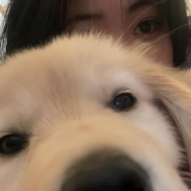 拆家大王