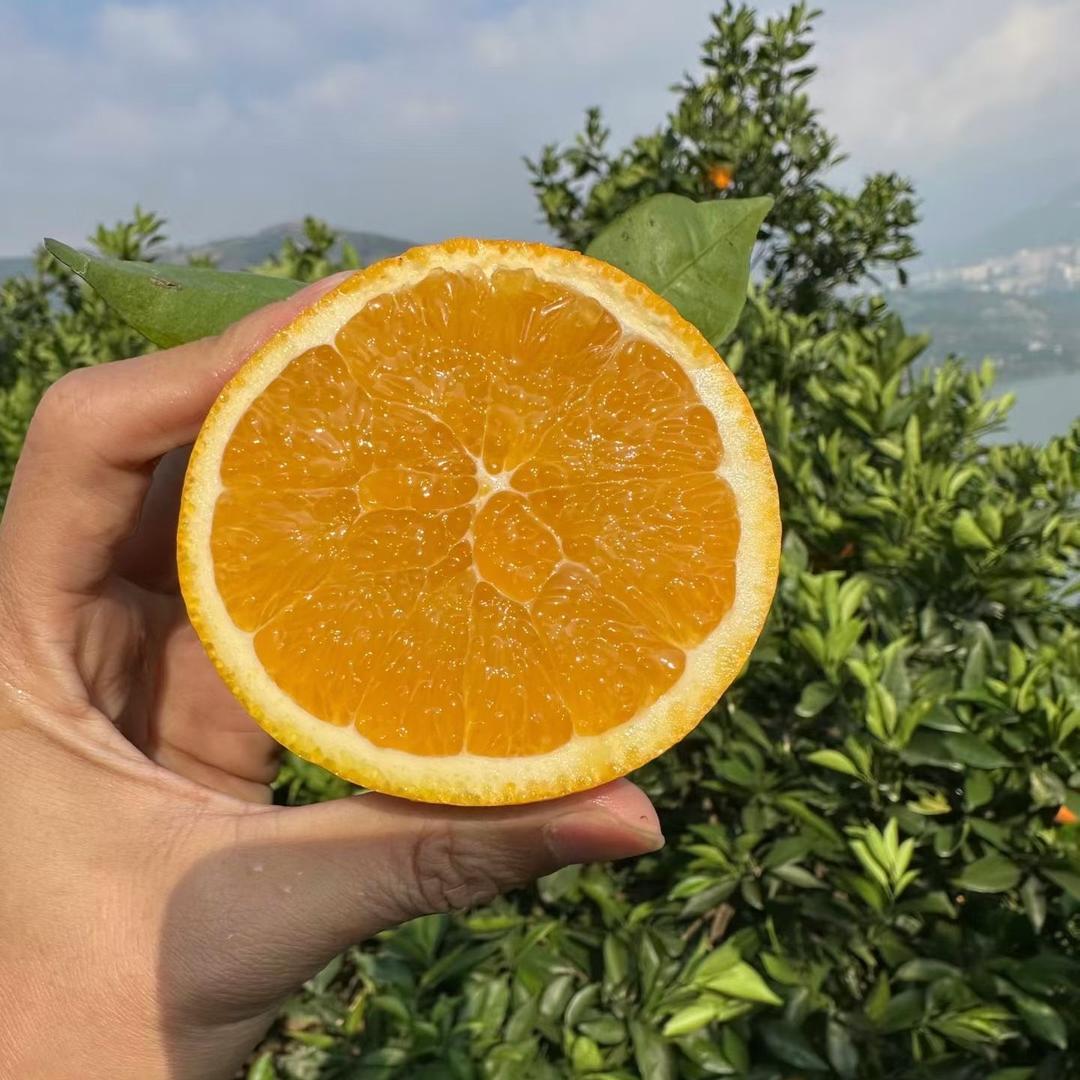 长友农产精选铺子