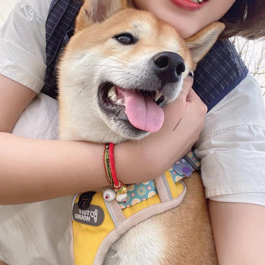 粥粥今天吃什么