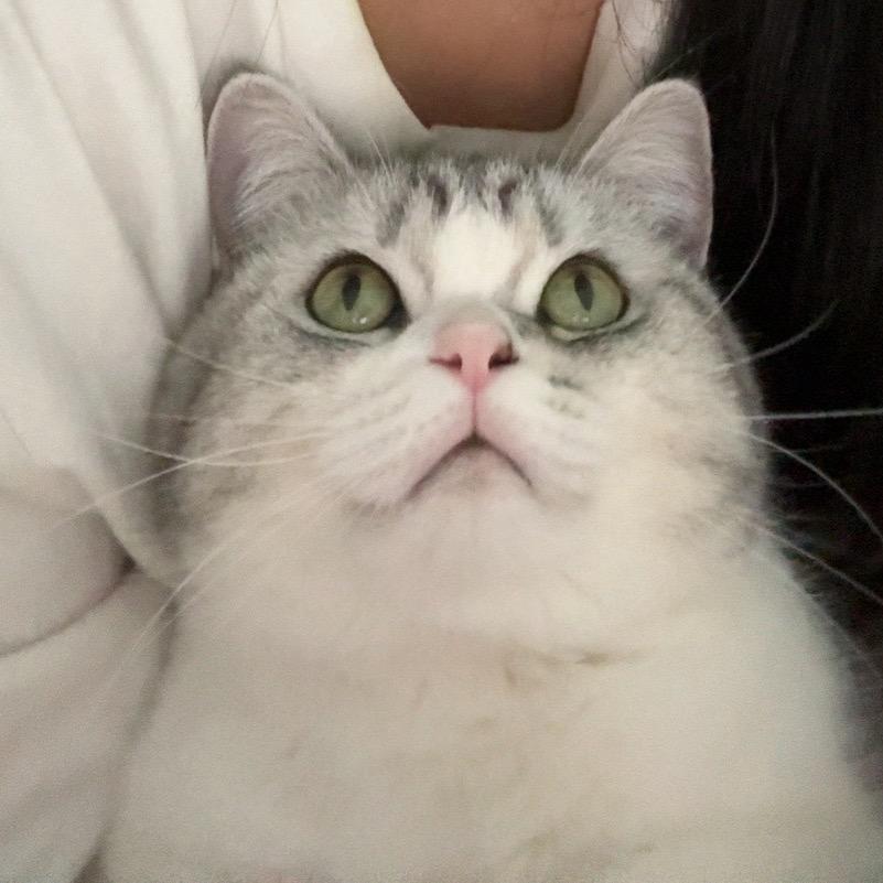 刘大花