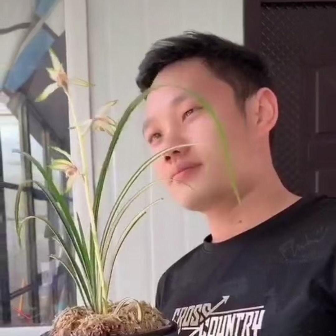 神马十三