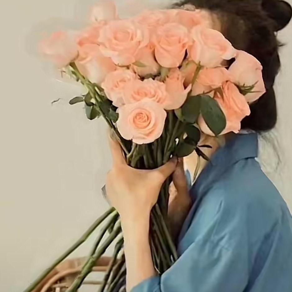 追逐zmh