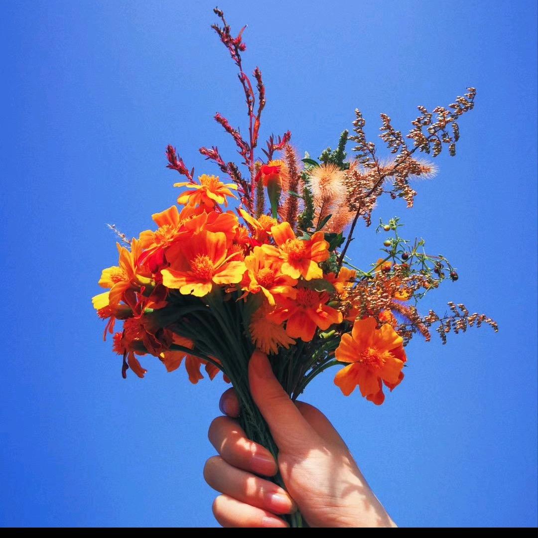 M🧚♀️