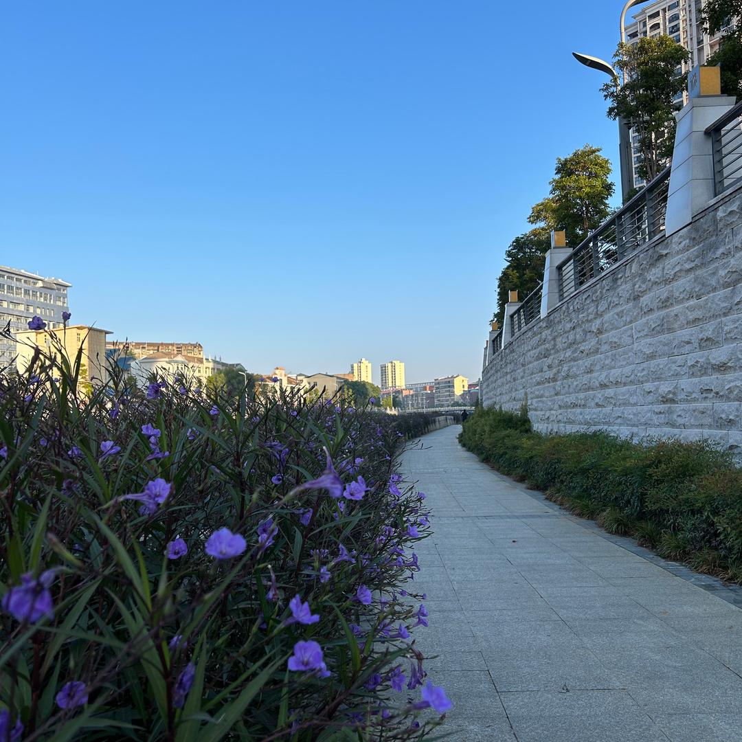 泥土中的一颗草