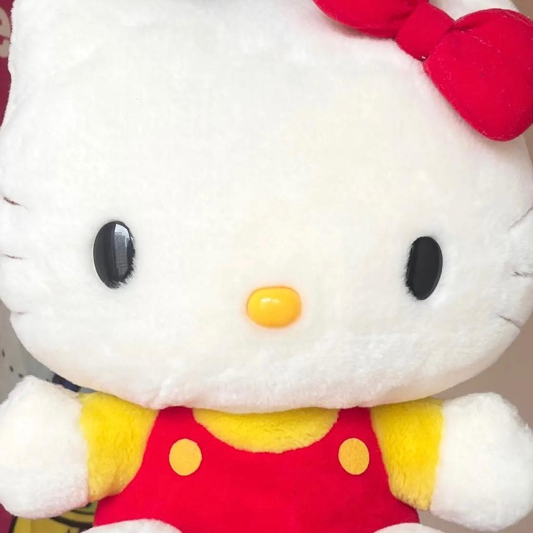 66中古玩偶
