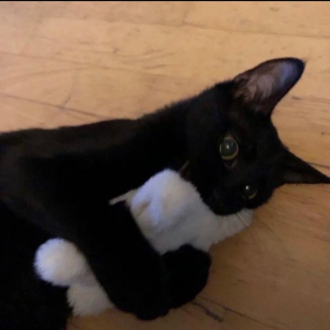 想我