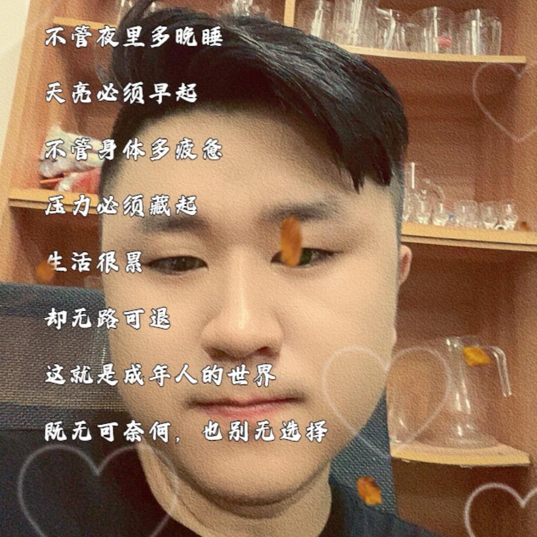 社会你杨哥