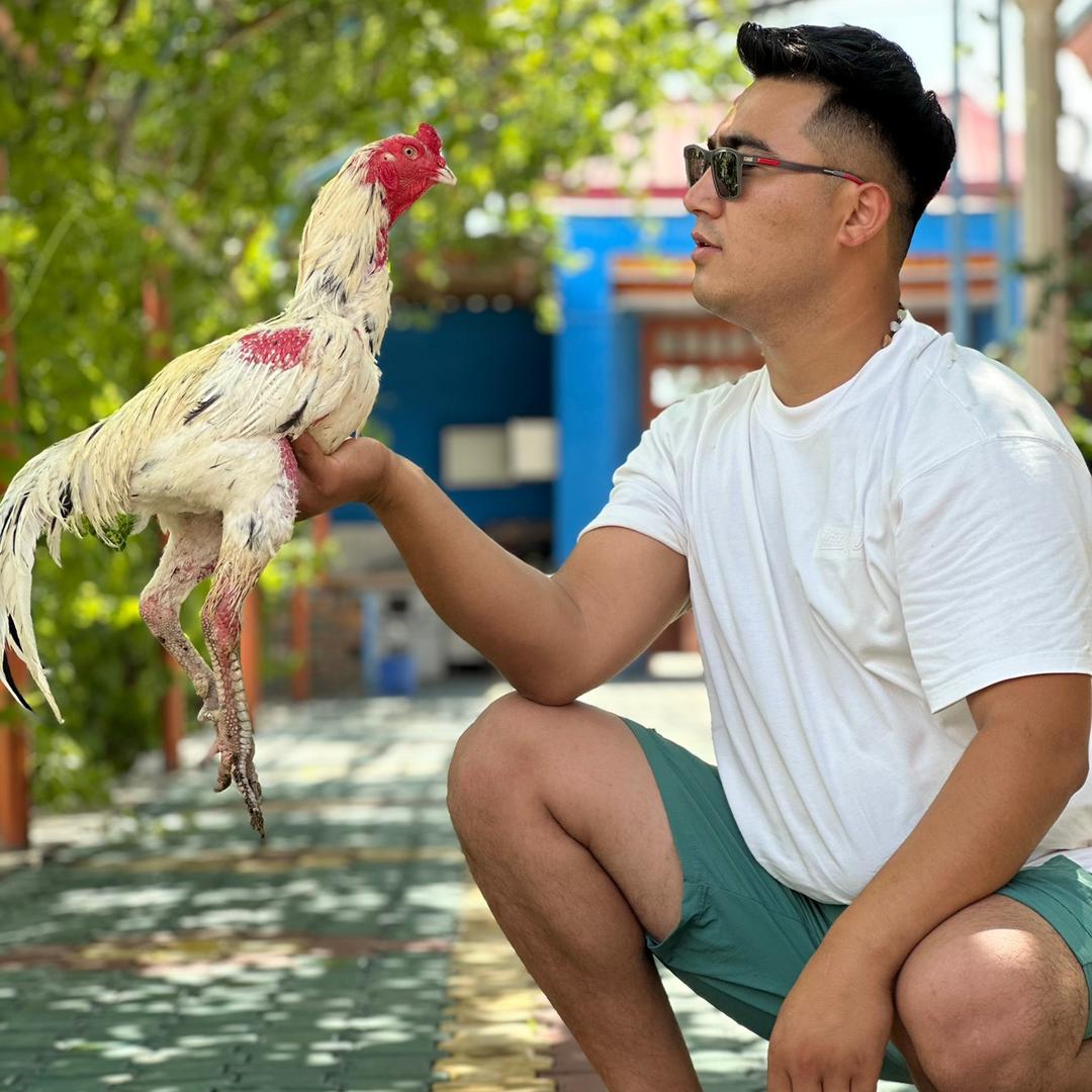 网红小白龙🐲🐉