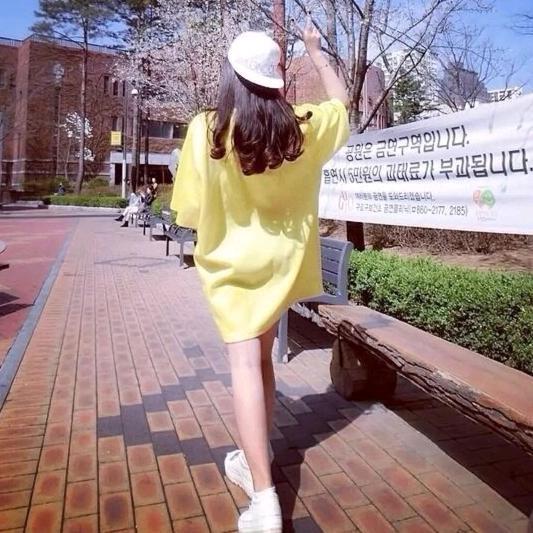 一只梦阿狸🍋头像
