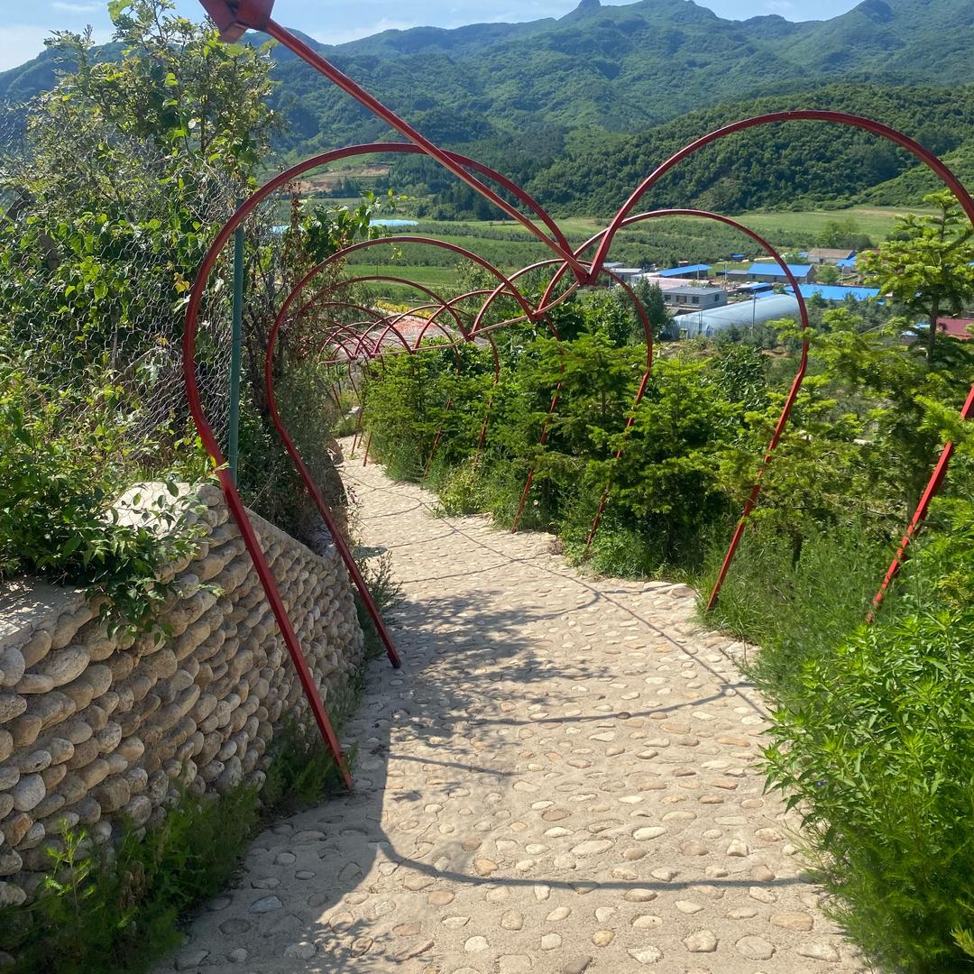 墩墩（🔥代燒）