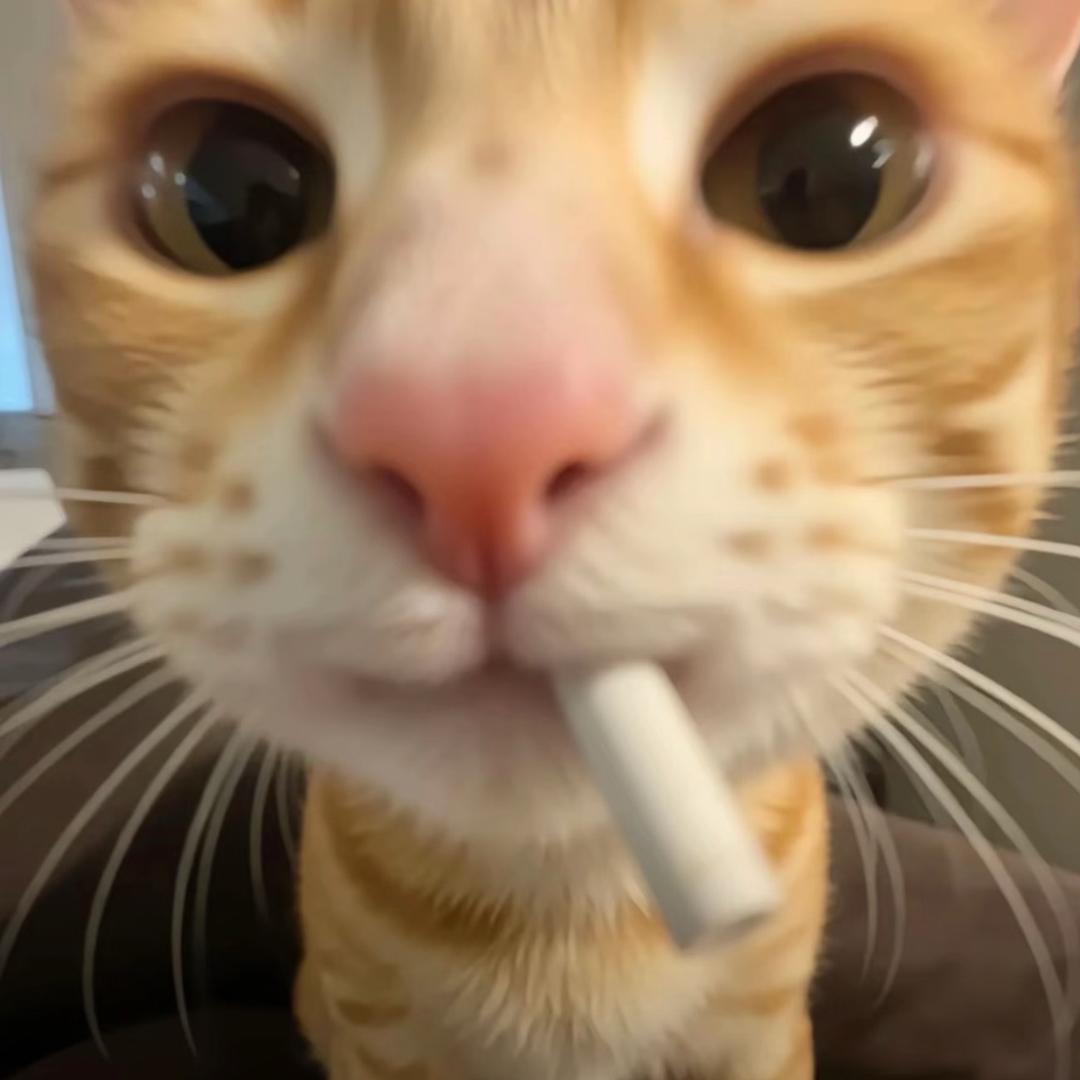 卖菜小林