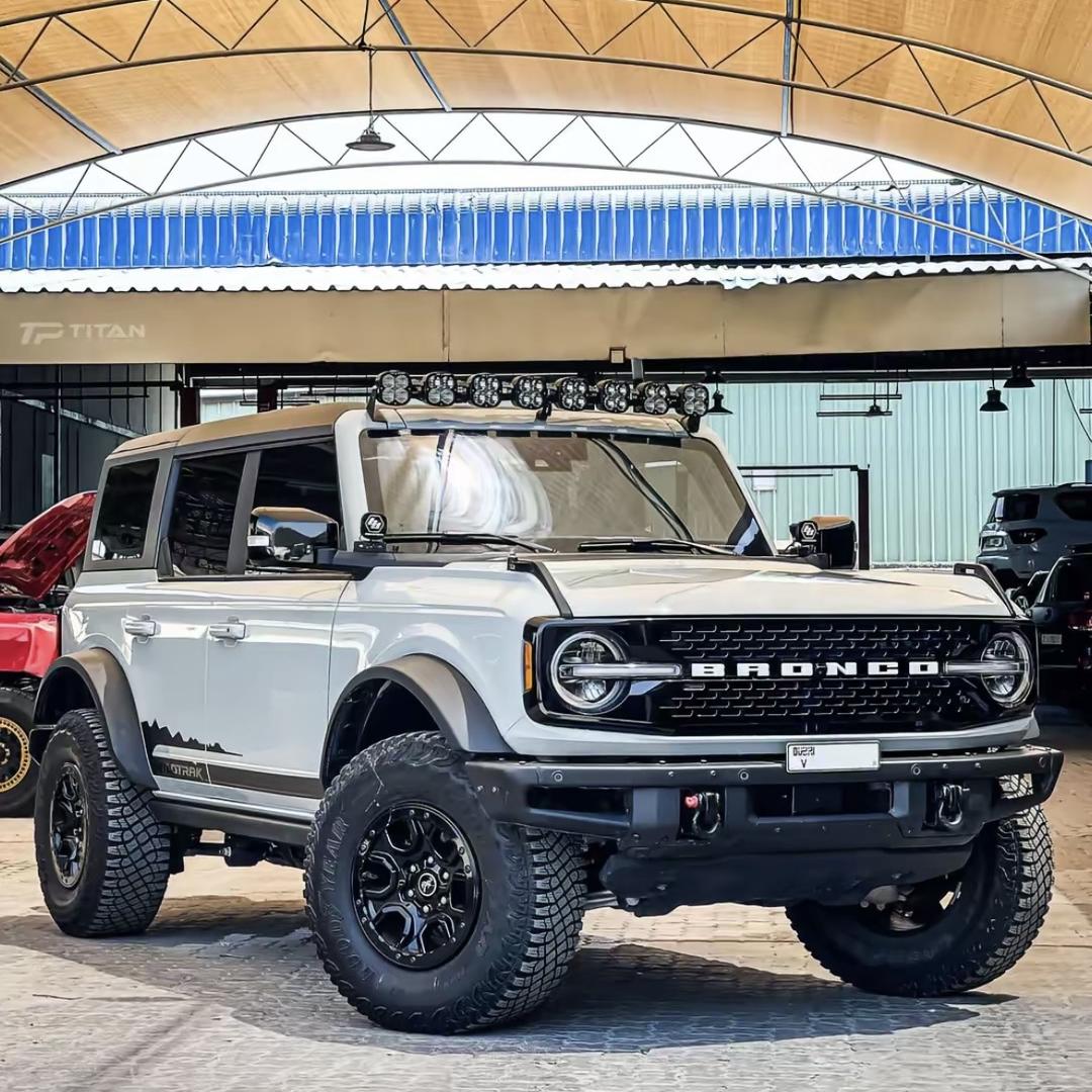 保定明福-智趣烈马