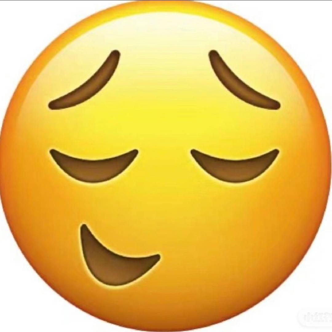 🌈哈姆太累🌈